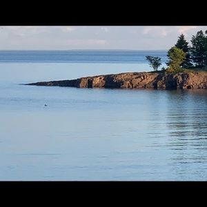 Meet your Posher, Carla